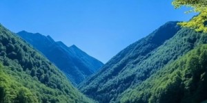 东方壹心教家长如何引导孩子走出游戏沉迷的误区！