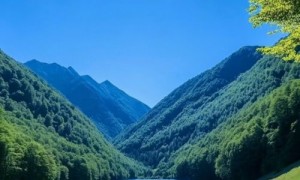 东方壹心教家长如何引导孩子走出游戏沉迷的误区!